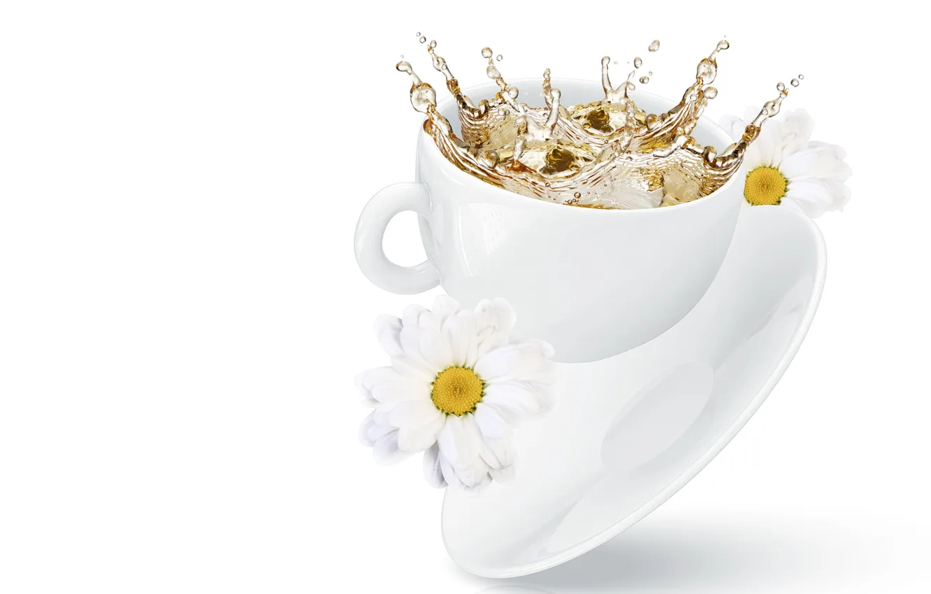 Photo wallpaper flowers, squirt, tea, Cup, chrysanthemum
