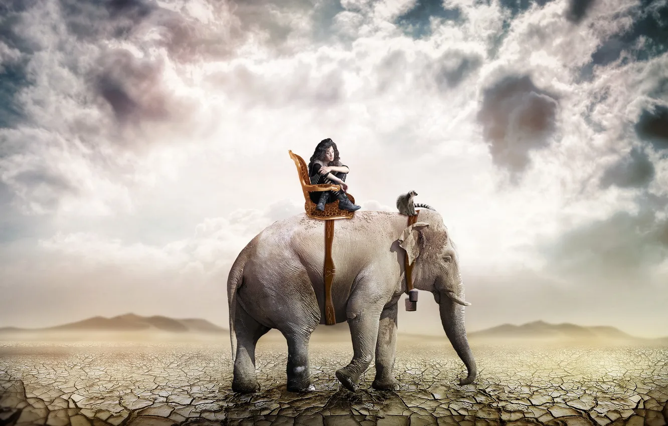 Photo wallpaper girl, desert, elephant