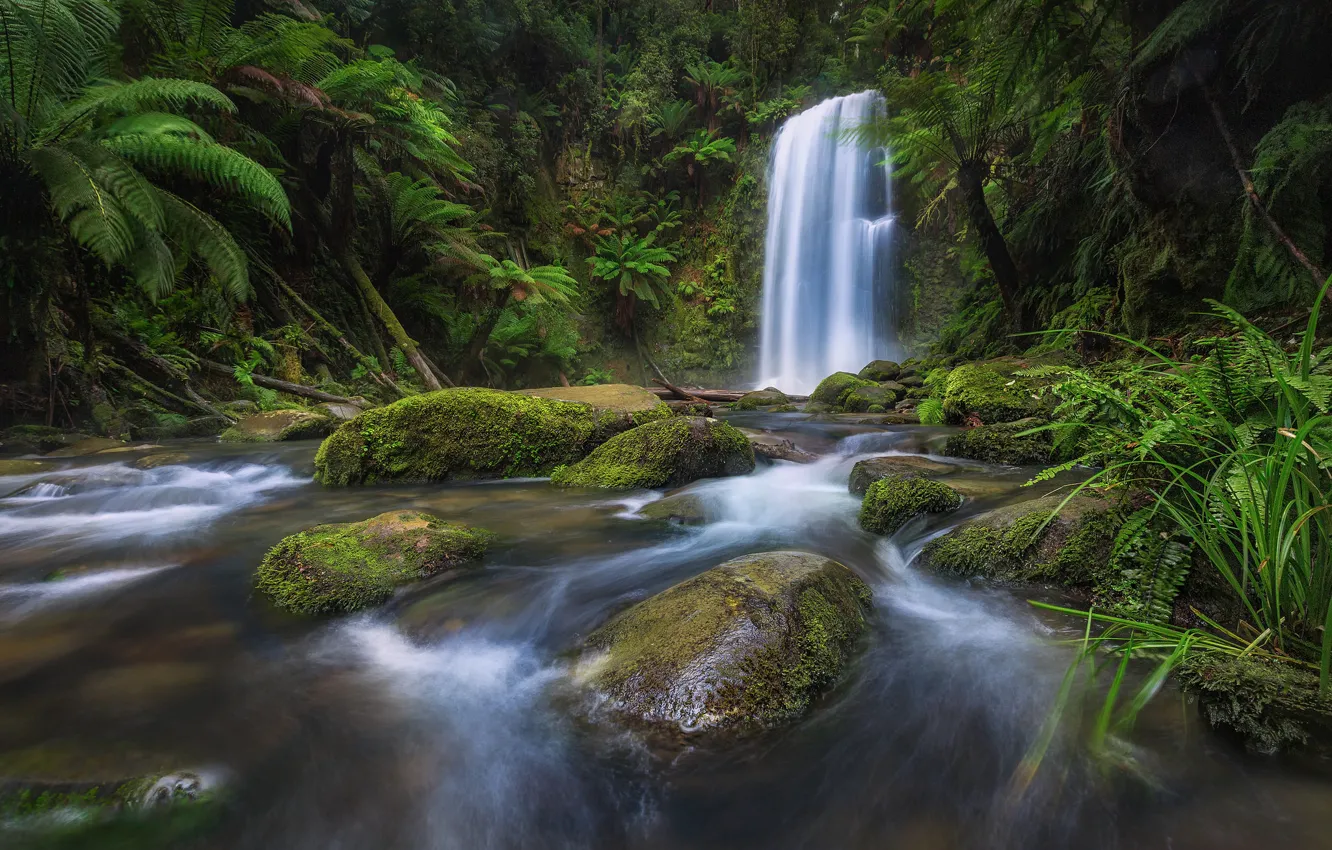 Photo wallpaper forest, river, stones, waterfall, Victoria, Australia, Australia, Victoria