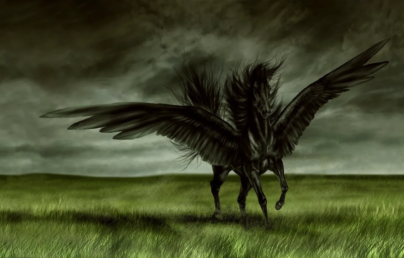 Photo wallpaper field, black, horse, wings