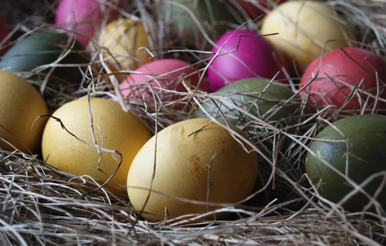 Photo wallpaper background, color, eggs