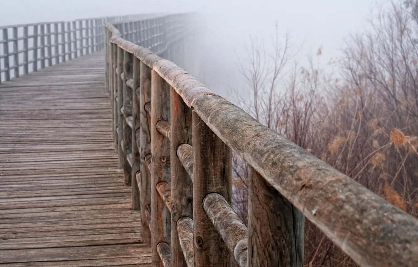 Photo wallpaper macro, bridge, fog, railings