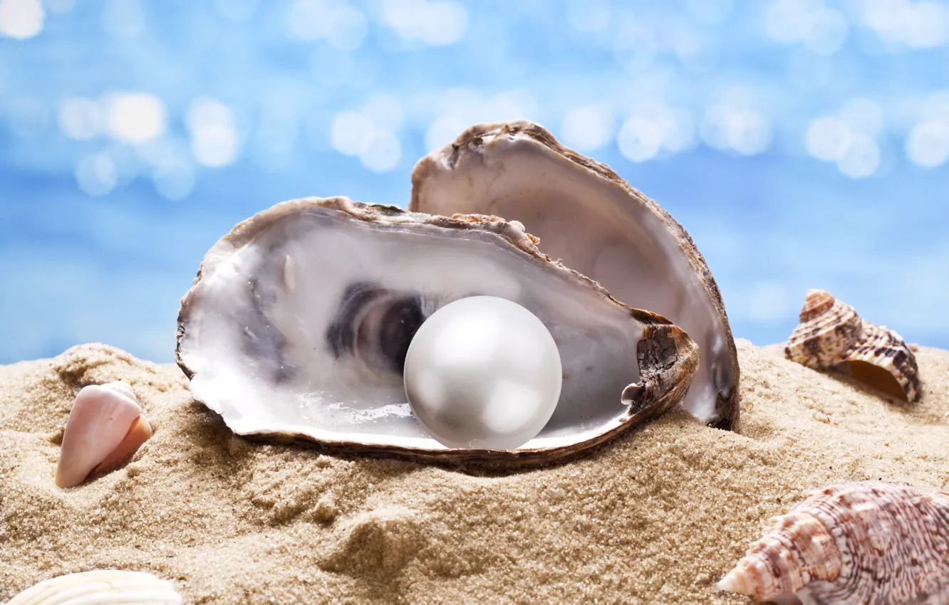 Photo wallpaper shell, pearl, starfish, sunshine, beach, sea, sand, seashell