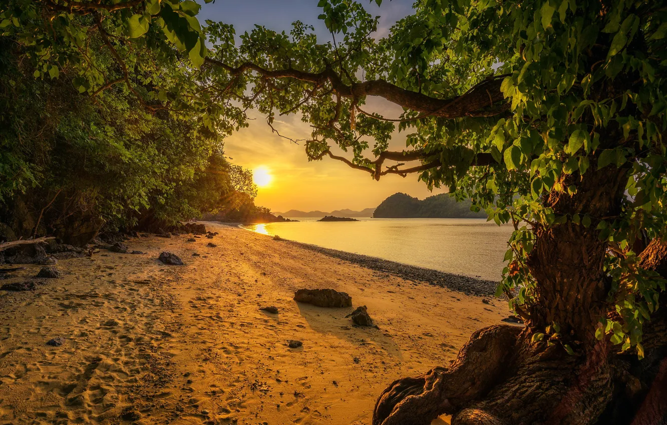 Photo wallpaper sand, sea, beach, trees, landscape, sunset, shore, island