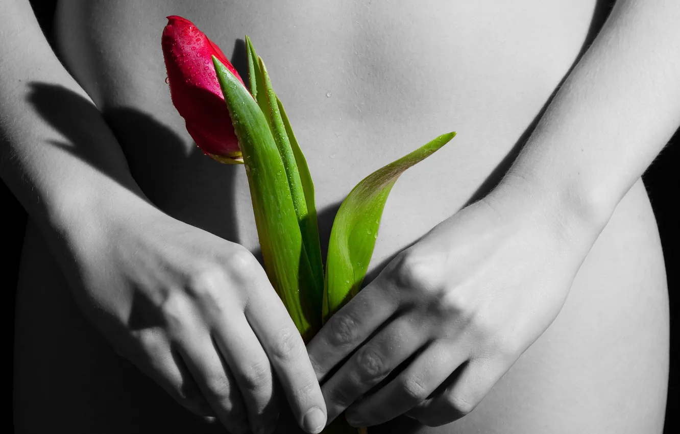 Photo wallpaper girl, flowers, hands, tulips, fingers
