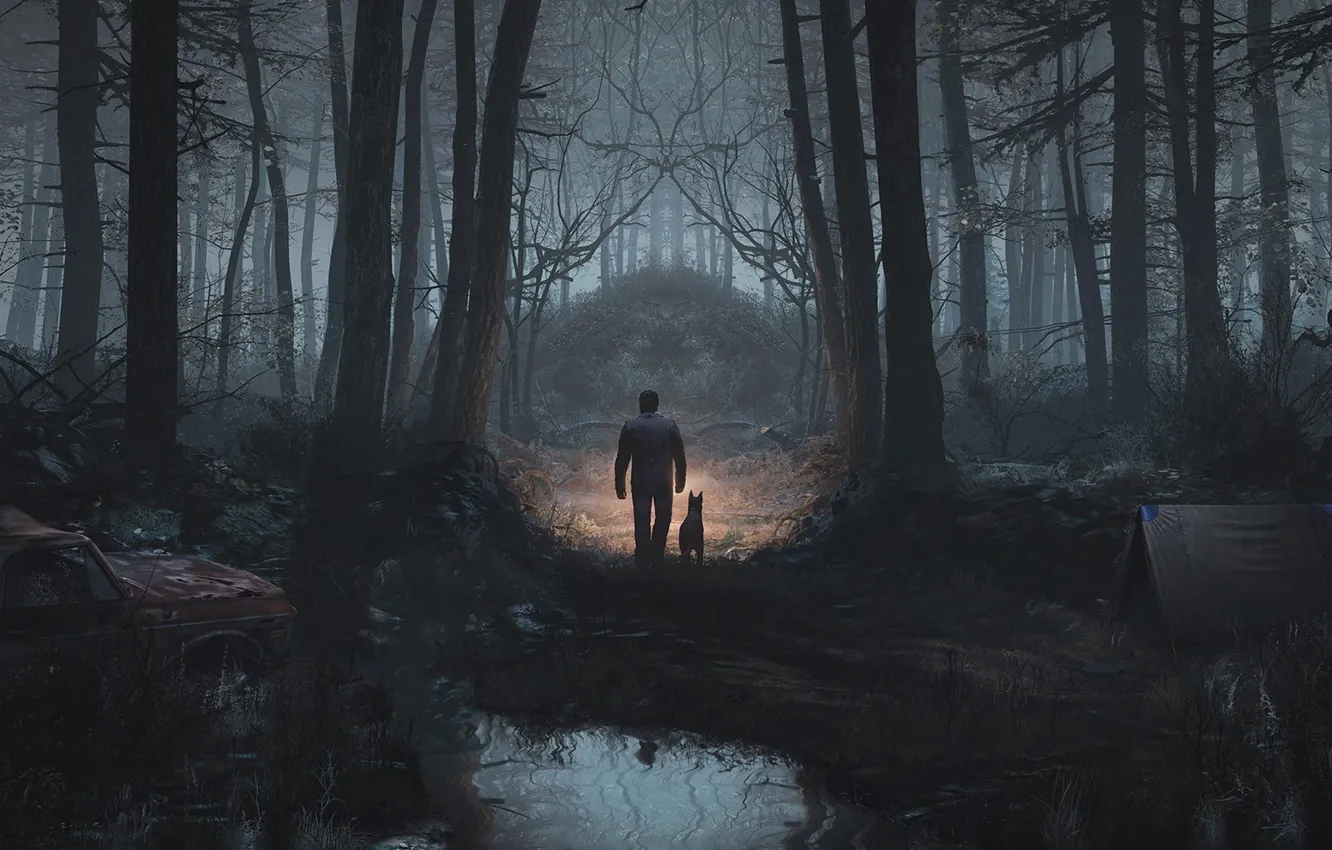 Photo wallpaper horror, game, Blair witch, Bloober Team, Blair witch