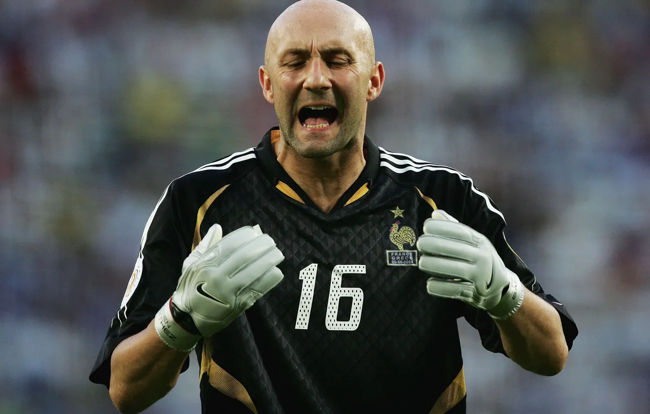 Photo wallpaper bald, the French goalkeeper, Fabien Barthez
