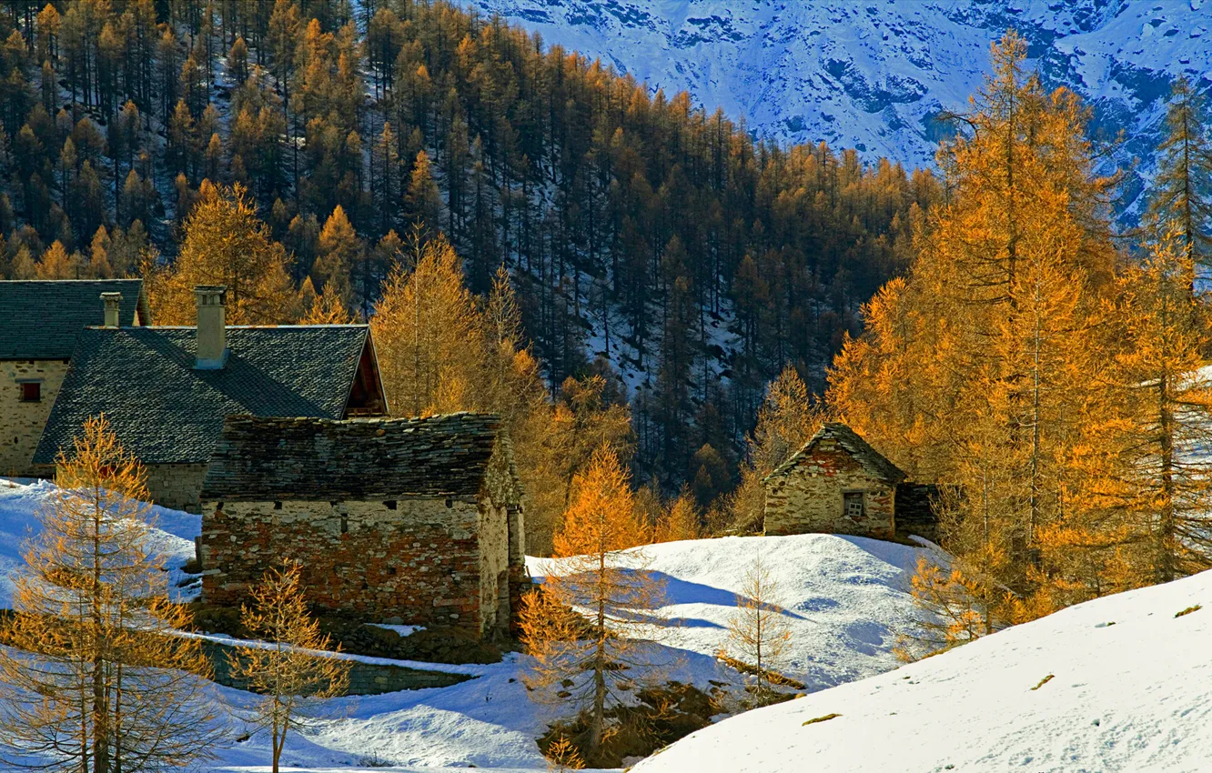Photo wallpaper autumn, snow, trees, mountains, home