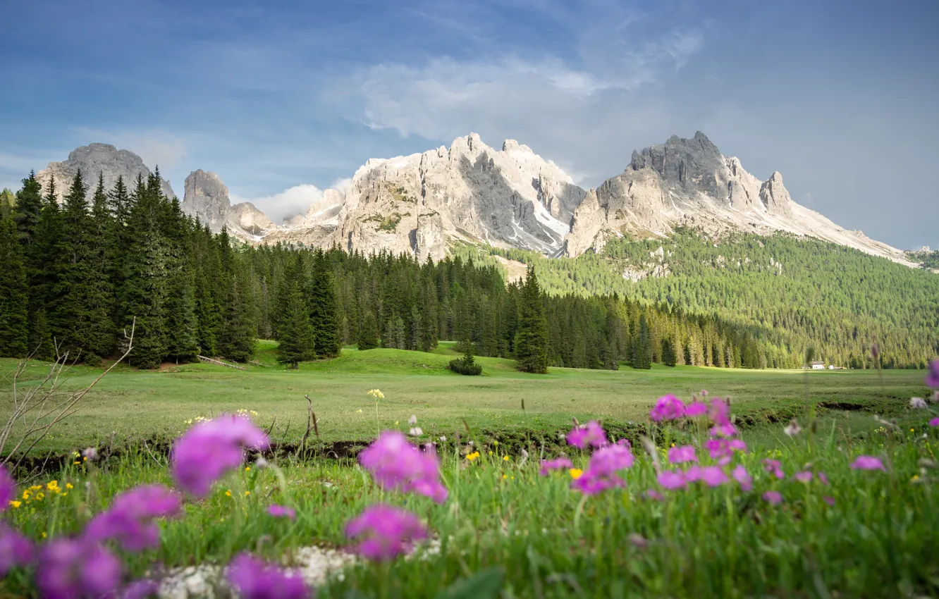 Photo wallpaper photo, Nature, Meadows, Mountains, Grass, Alps, Italy, Landscape