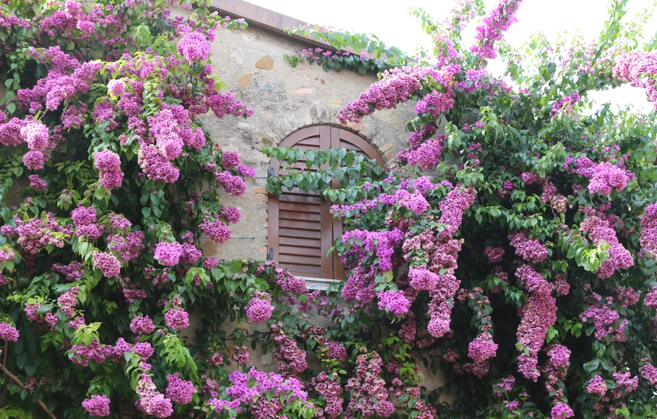 Photo wallpaper Italy, Italy, Italia, Sirmione, Sirmione