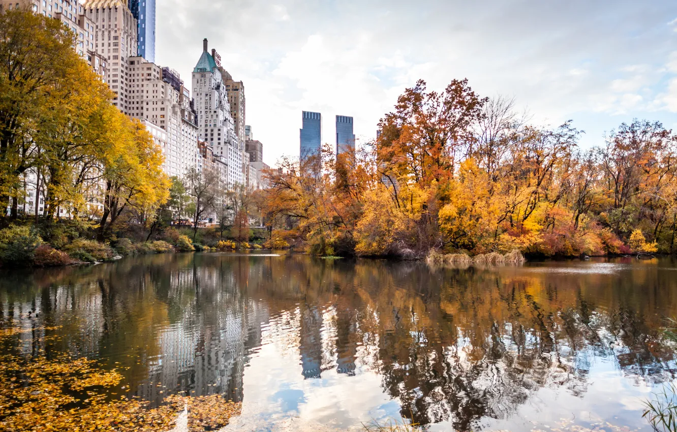 Photo wallpaper autumn, the city, Park, skyscrapers, USA, America, USA, New York City