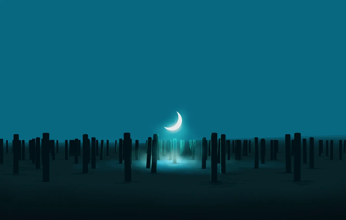 Photo wallpaper night, columns, Crescent