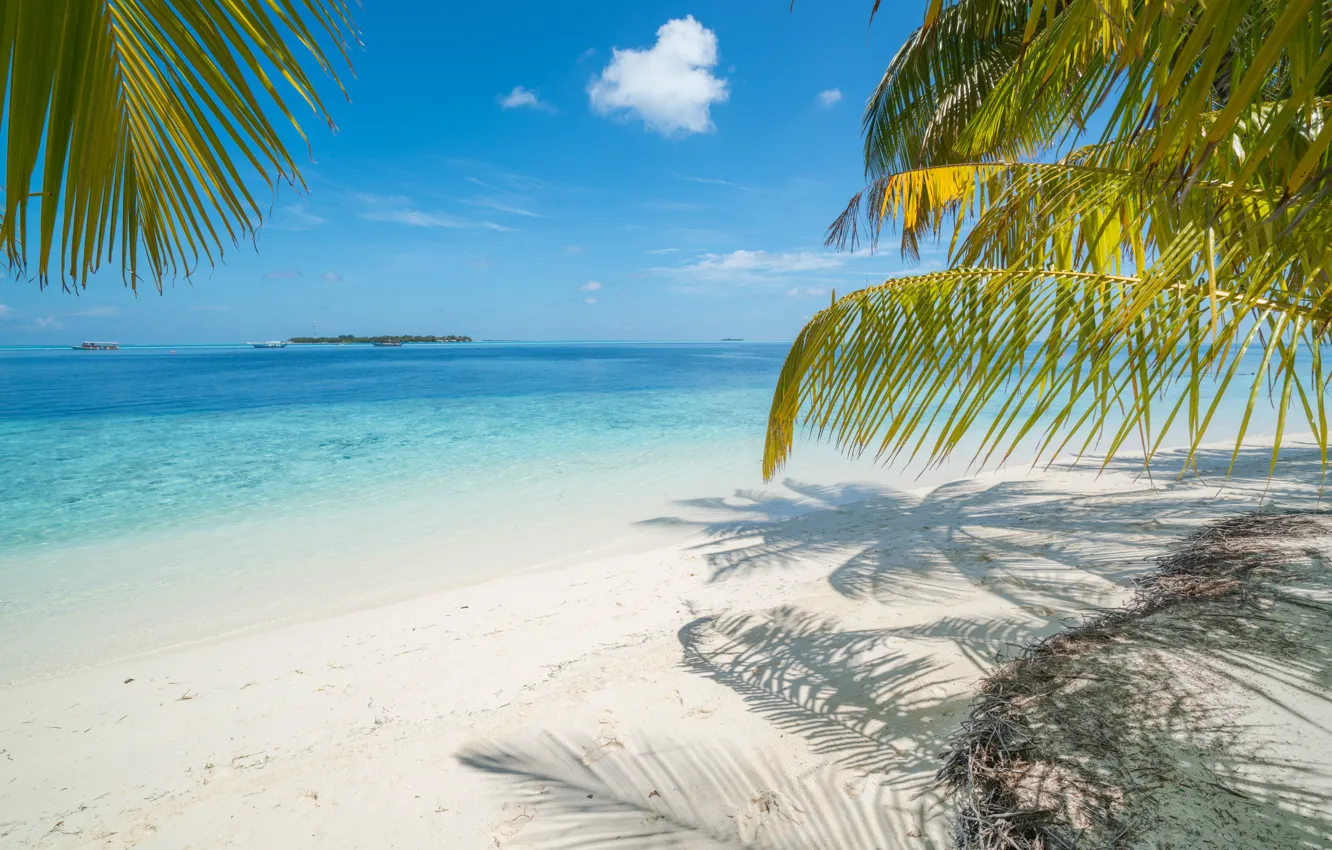 Photo wallpaper sand, sea, wave, beach, summer, the sun, palm trees, summer