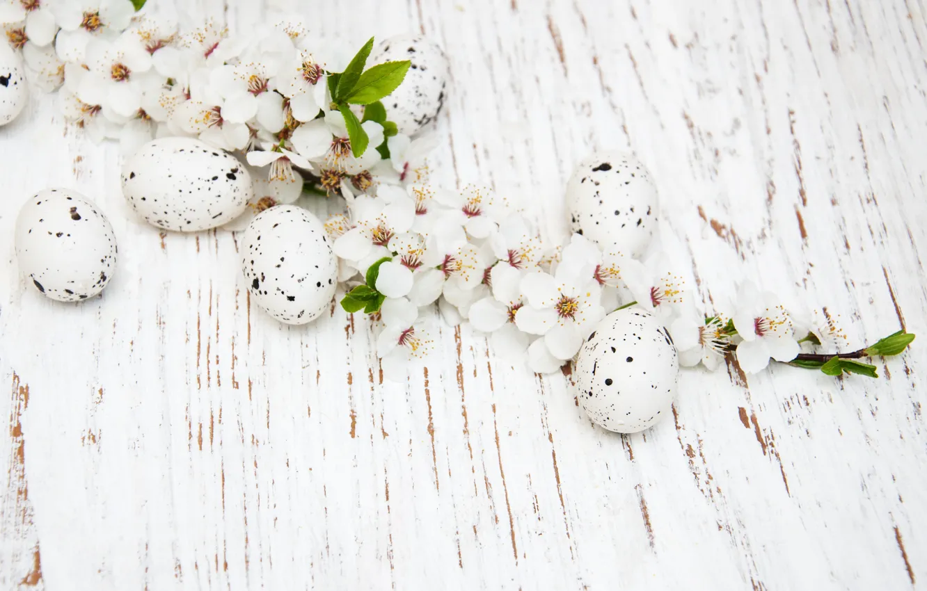 Photo wallpaper flowers, eggs, spring, colorful, Easter, wood, blossom, flowers