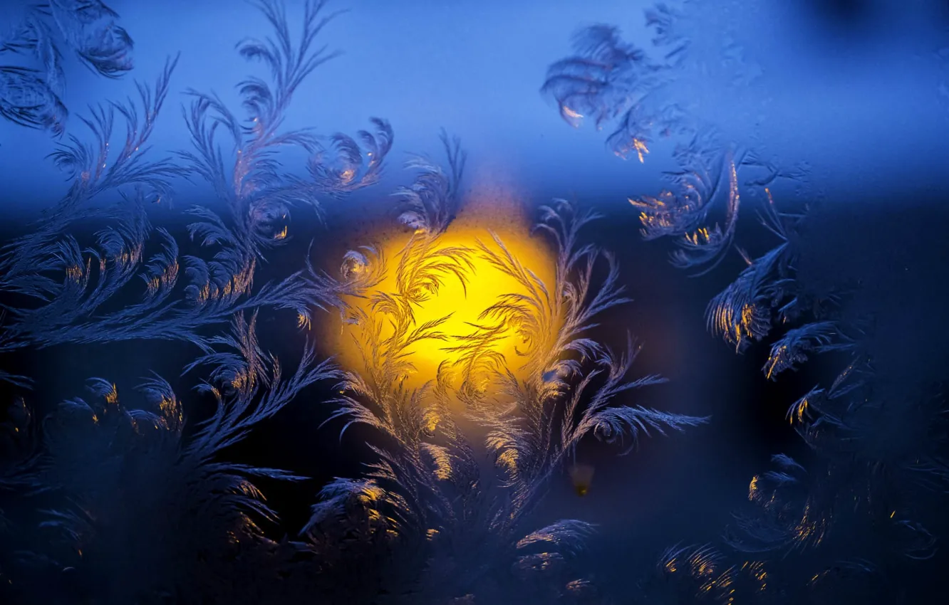 Photo wallpaper cold, winter, glass, holiday, patterns, new year, frost, than not painting