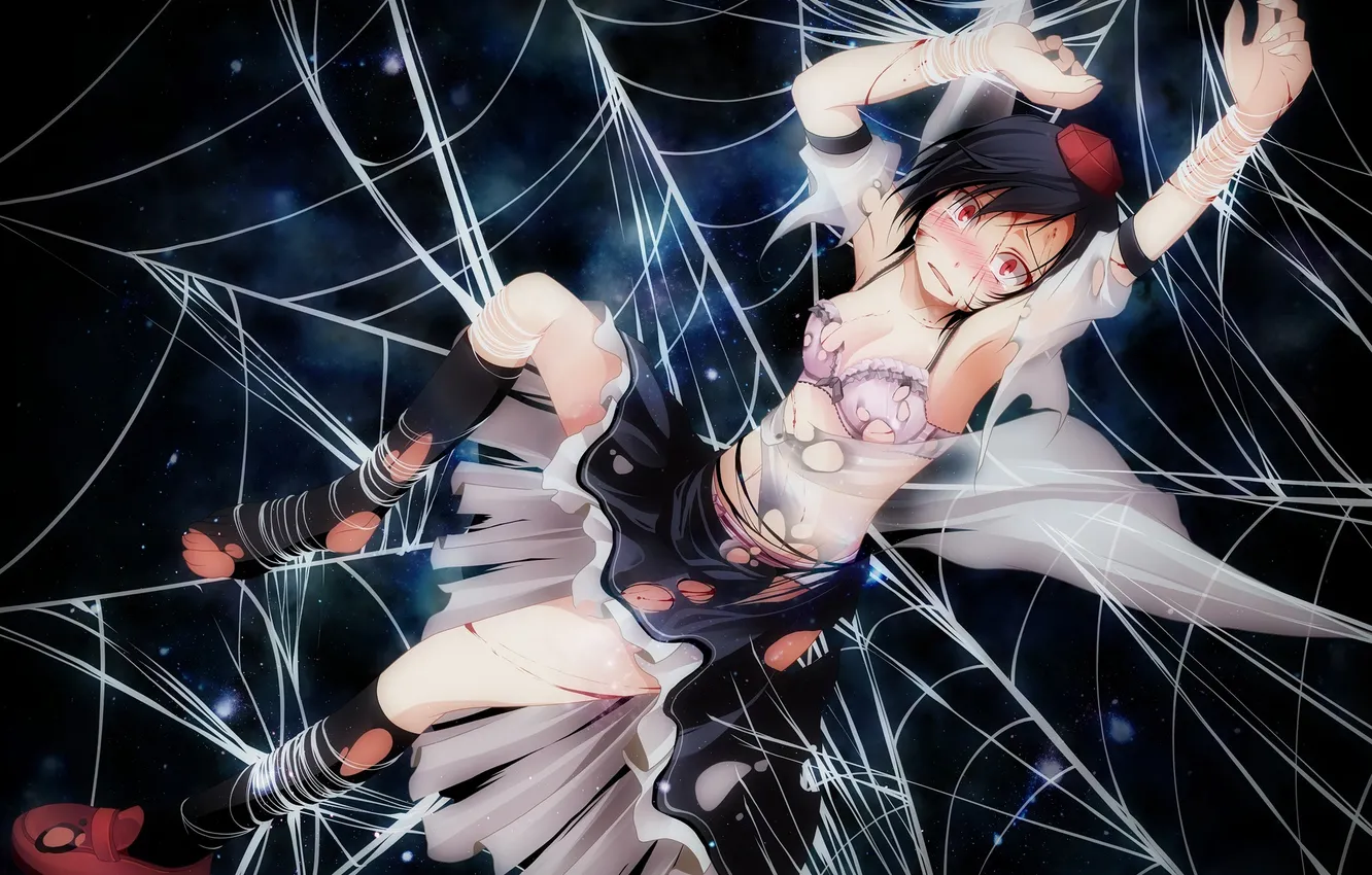 Photo wallpaper girl, blood, web, art, touhou, shameimaru aya, S-syogo