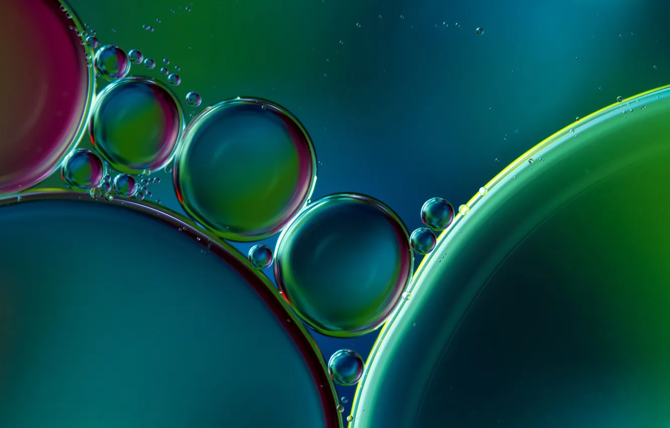 Photo wallpaper drops, circles, abstraction, green