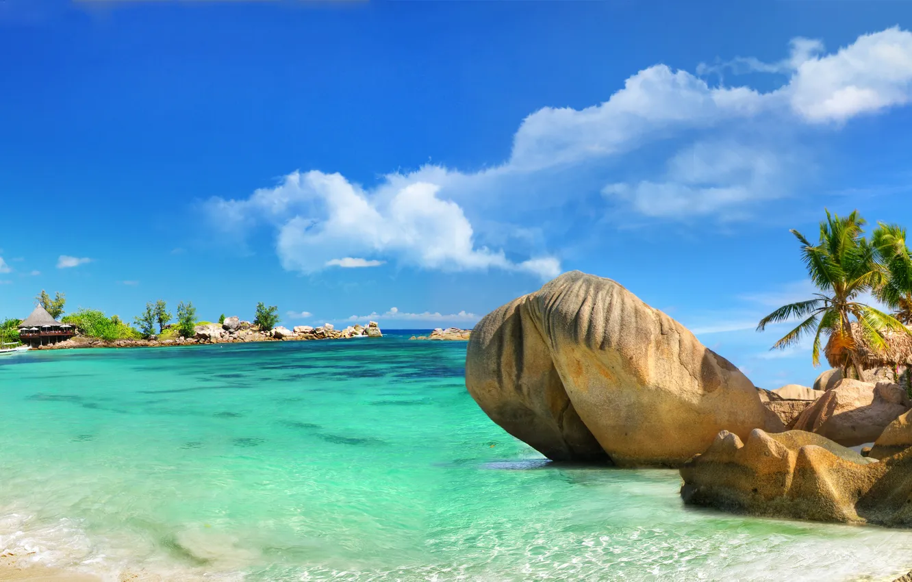 Photo wallpaper sand, sea, beach, tropics, stones, palm trees, coast, beach