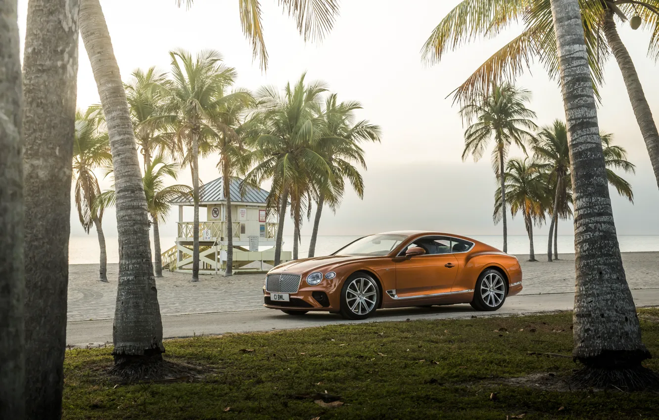 Photo wallpaper machine, beach, palm trees, coupe, Bentley, Continental, GT V8