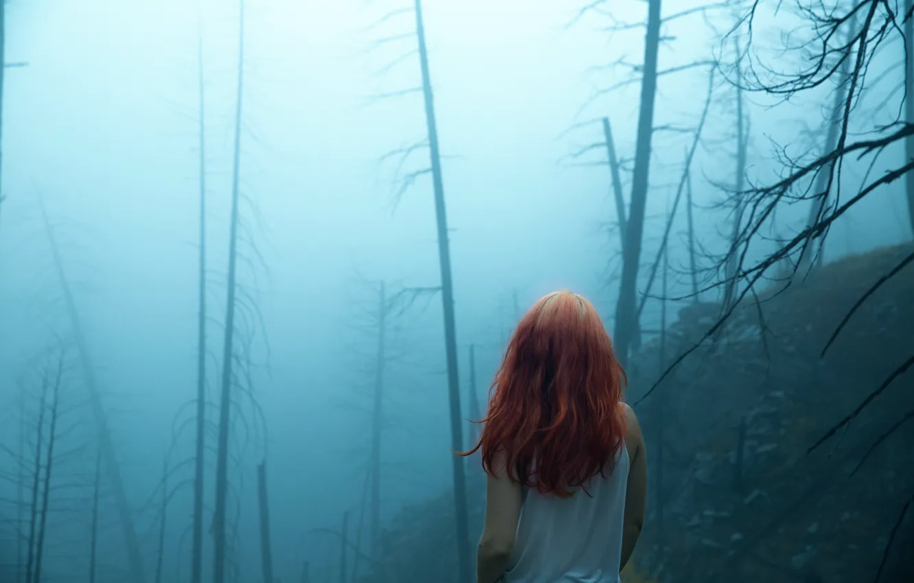 Photo wallpaper forest, girl, fog, hair, Lichon