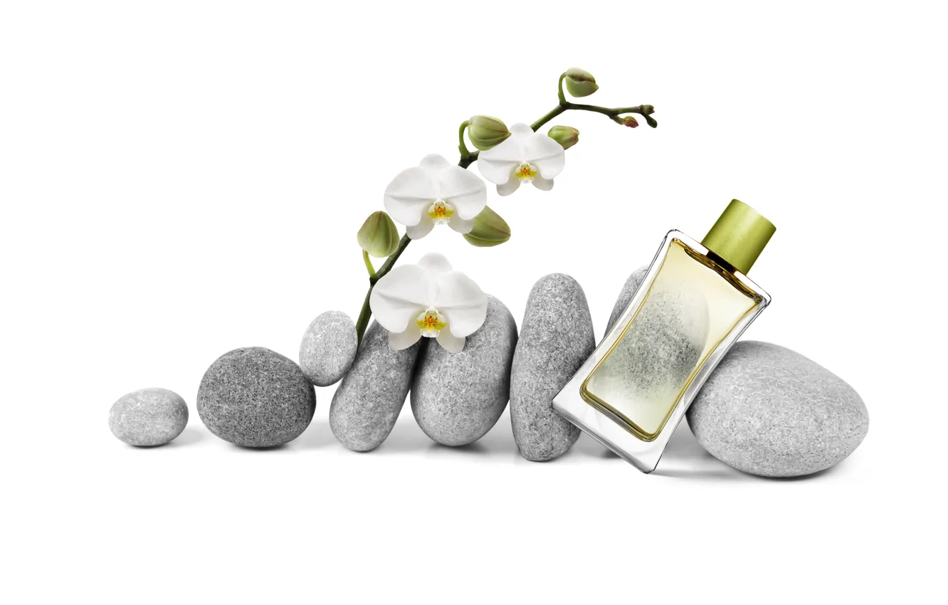 Photo wallpaper glass, stones, bottle, perfume, Orchid, Spa, perfume