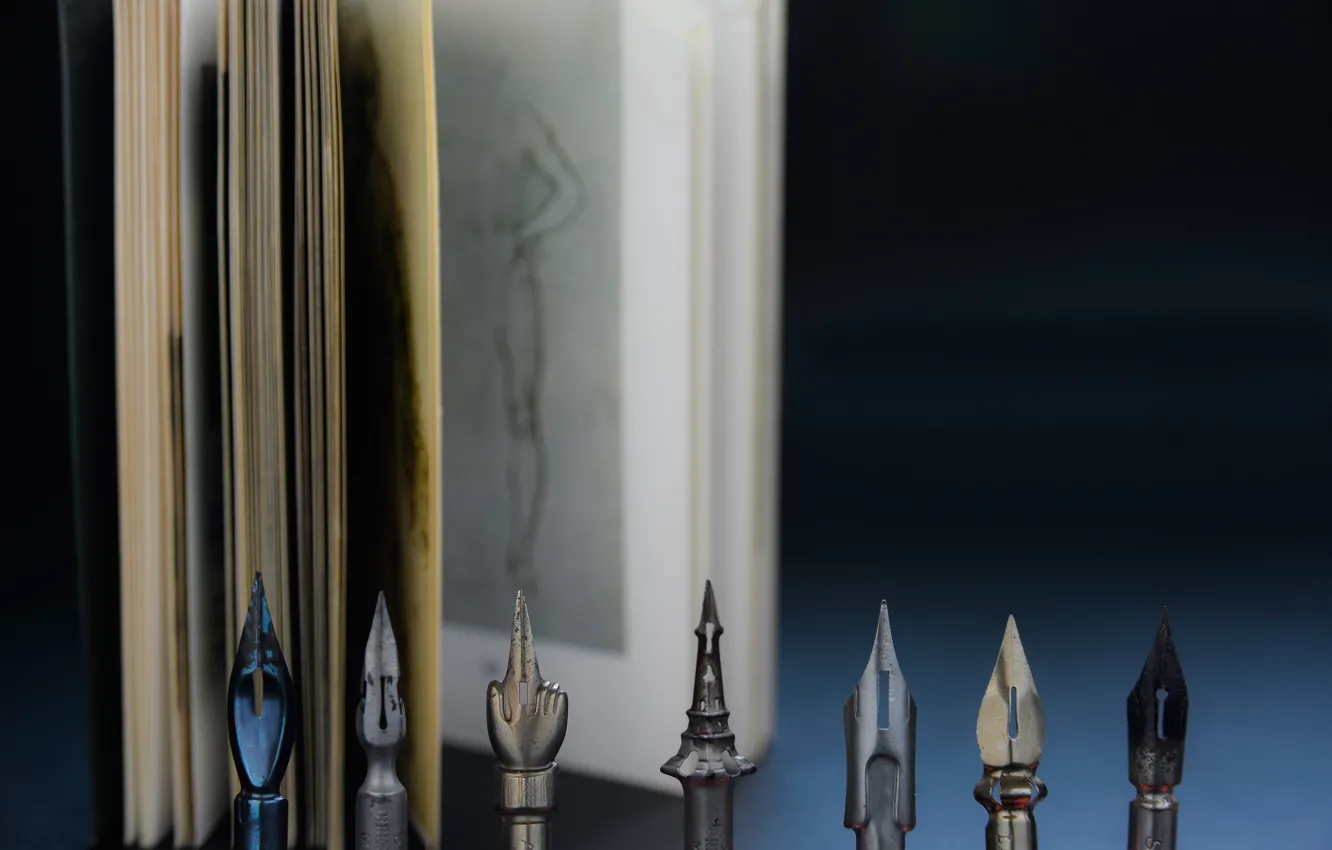 Photo wallpaper feathers, album, book