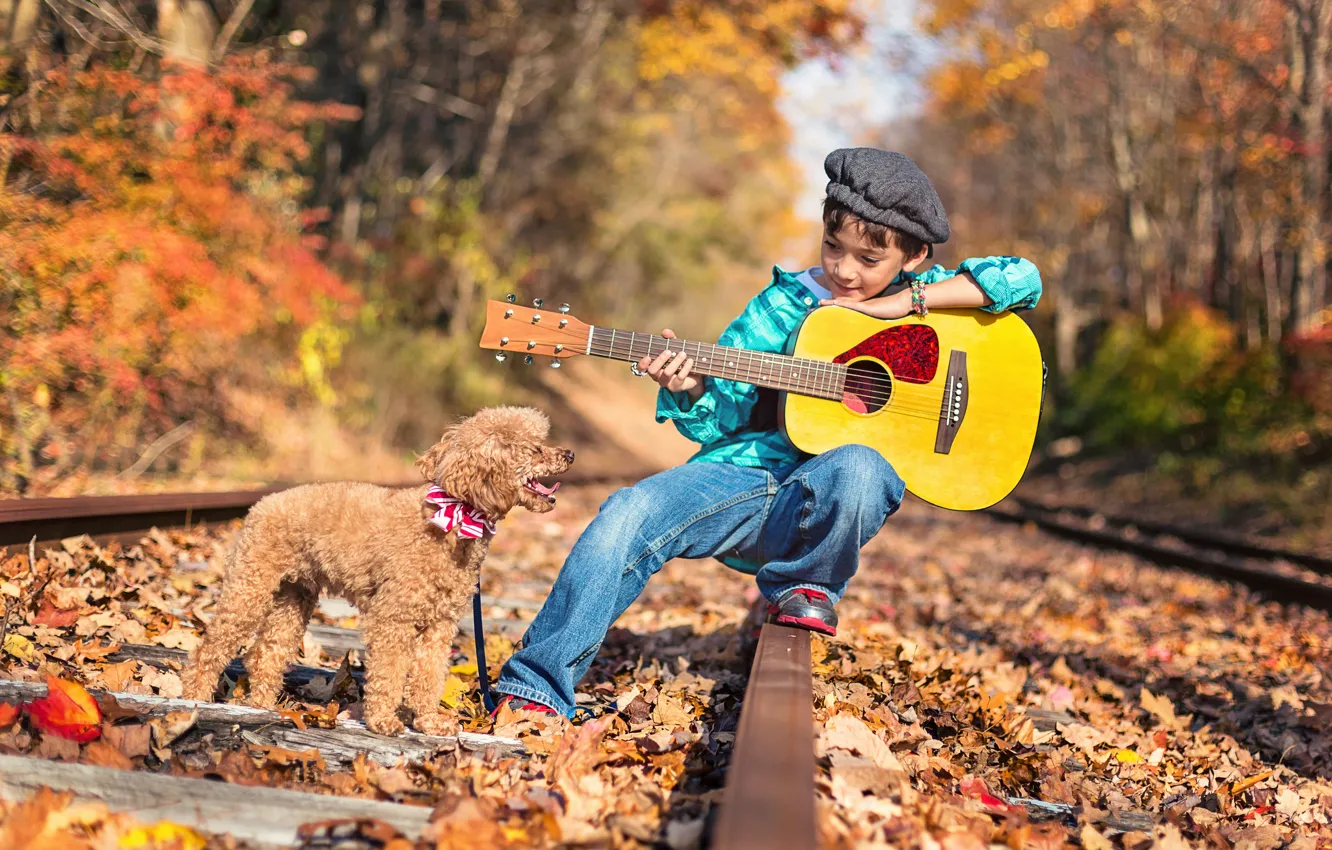 Photo wallpaper road, autumn, forest, nature, rails, guitar, dog, boy