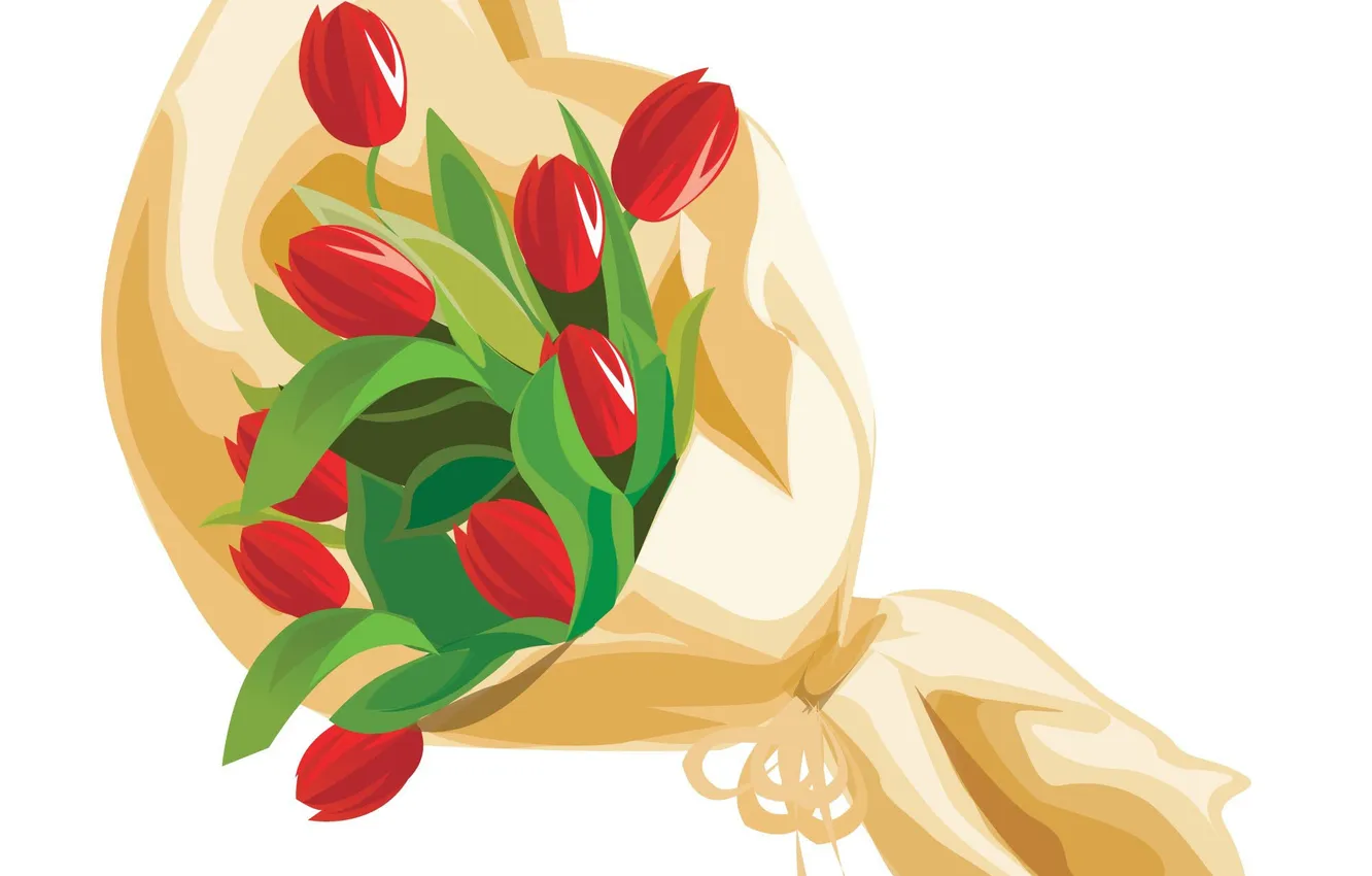 Photo wallpaper flowers, bouquet, tulips, red, packaging, white background