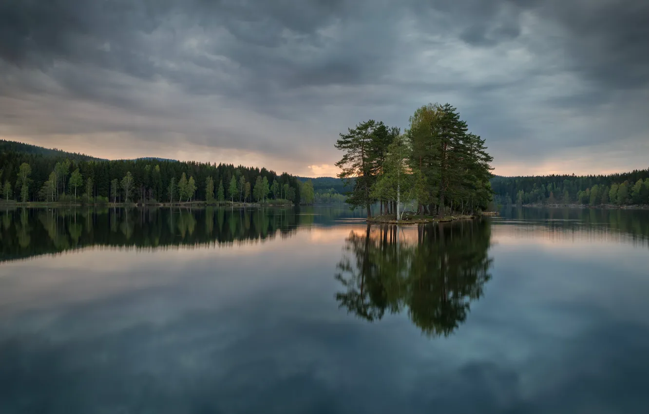 Photo wallpaper forest, the sky, clouds, trees, clouds, lake, reflection, overcast