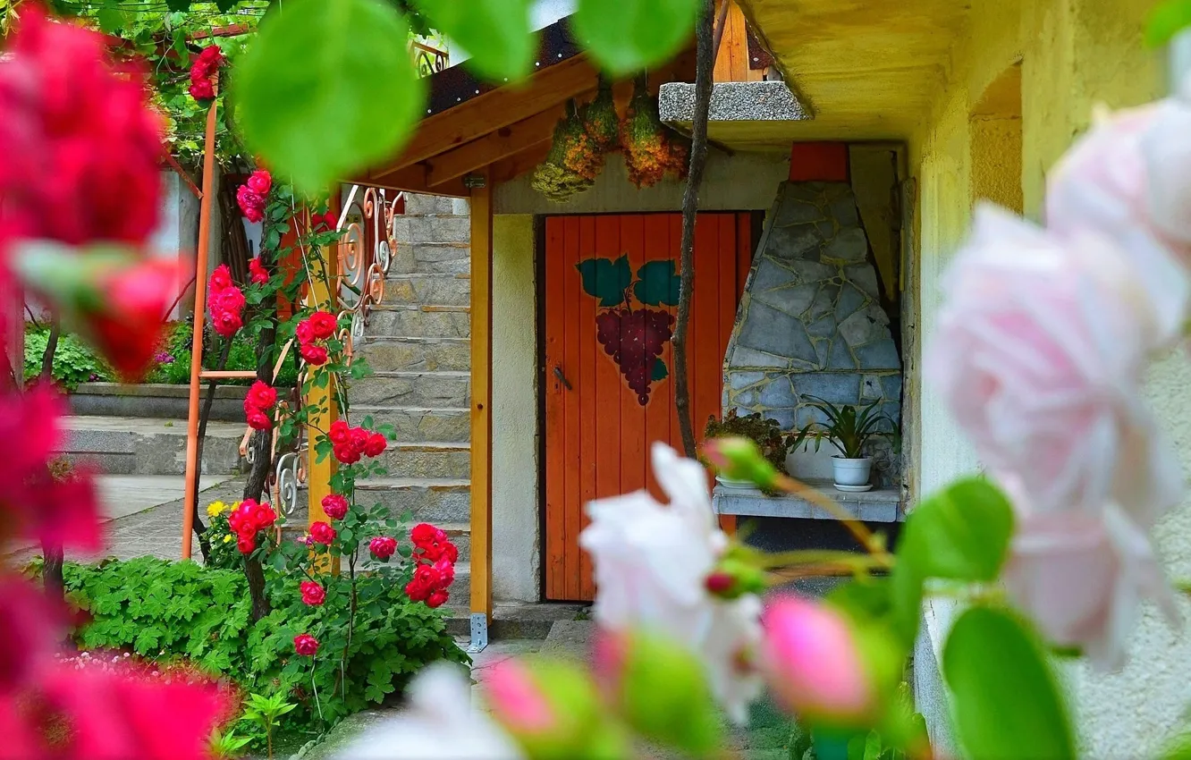 Photo wallpaper Flowers, House, The door, Yard