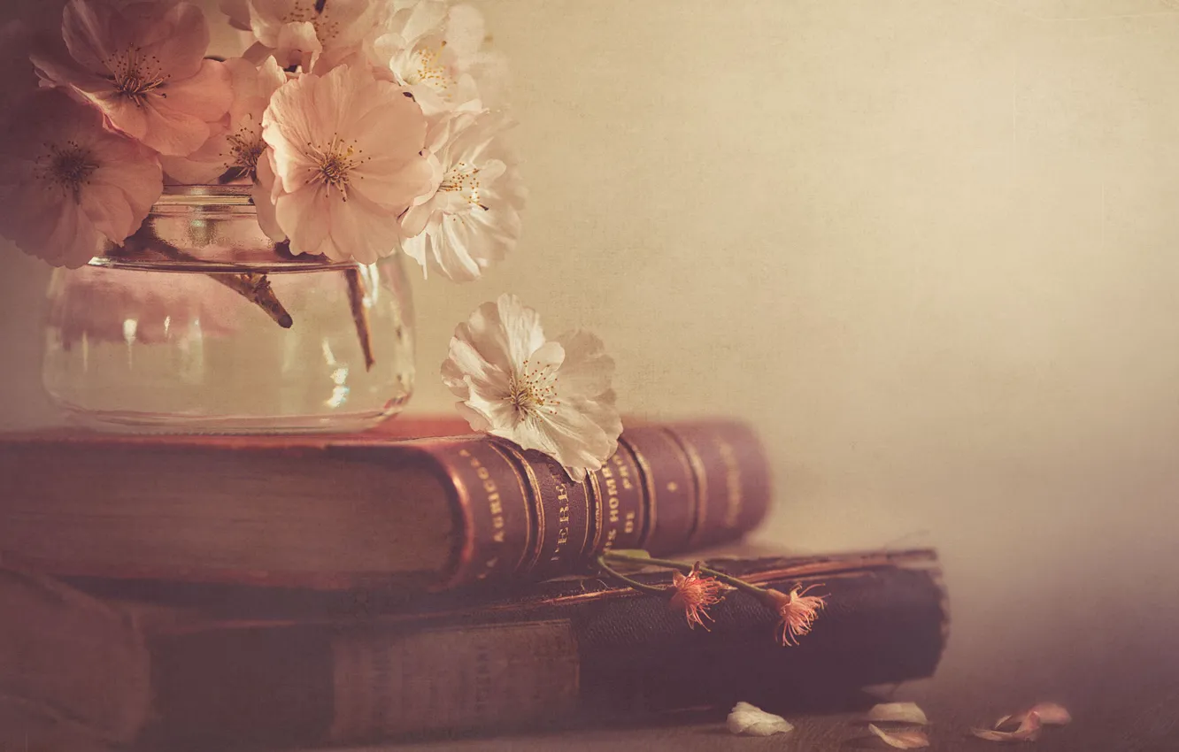 Photo wallpaper flowers, style, Bank, book