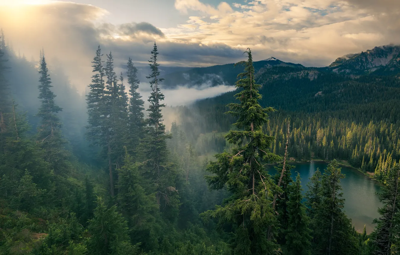 Photo wallpaper forest, clouds, mountains, fog, lake, view, height, dal