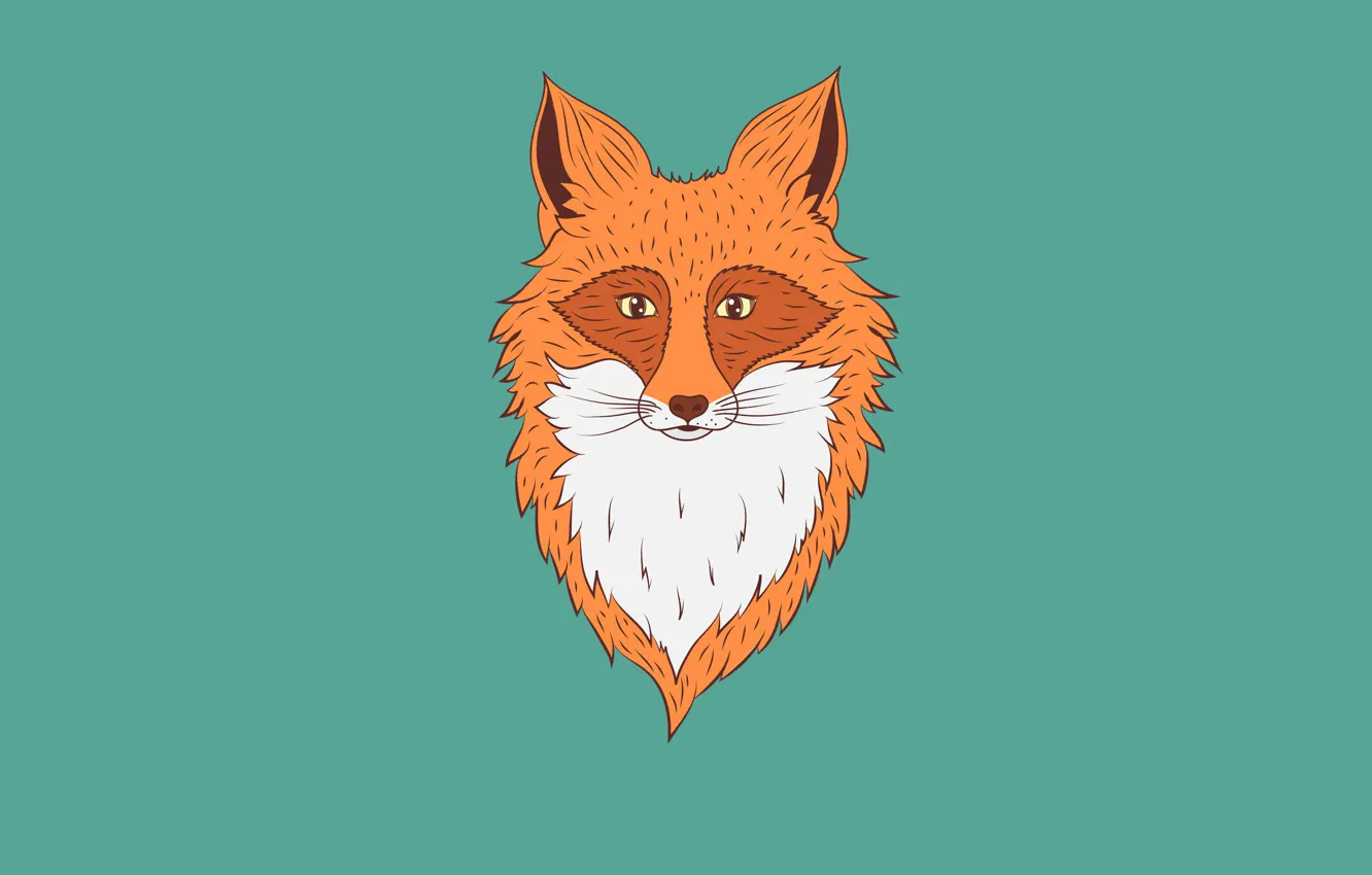 Photo wallpaper minimalism, Fox, fox