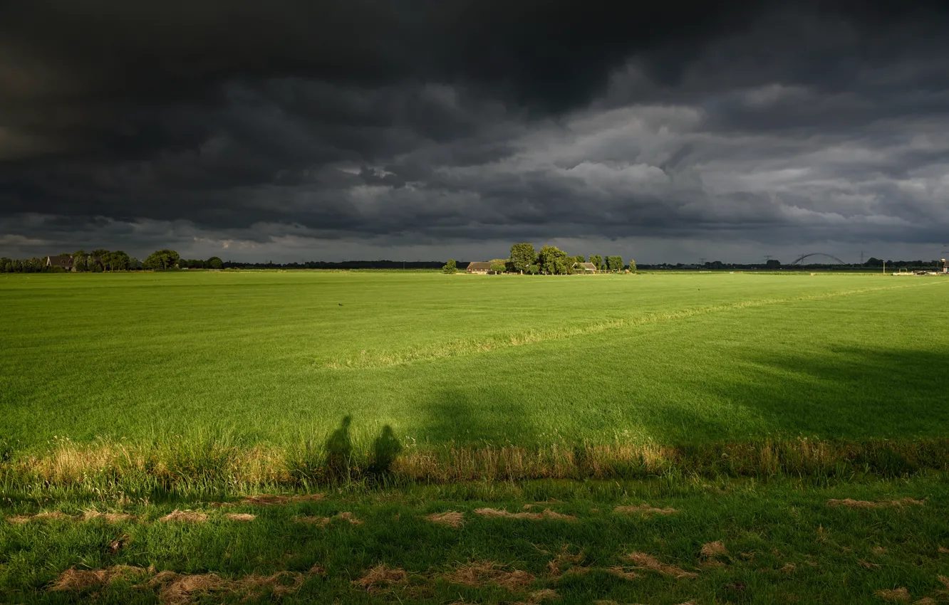 Photo wallpaper greens, field, the sky, grass, trees, clouds, overcast, houses