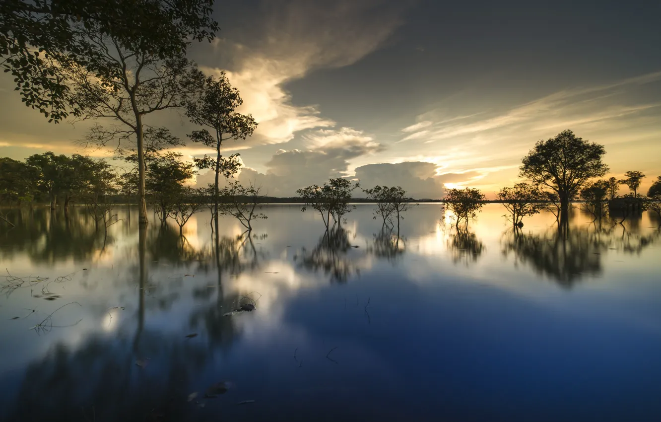 Photo wallpaper clouds, trees, lake, reflection