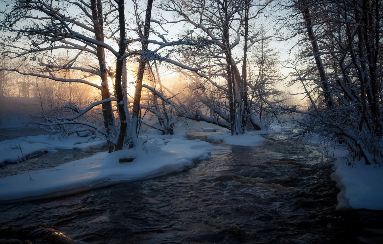 Photo wallpaper winter, nature, river