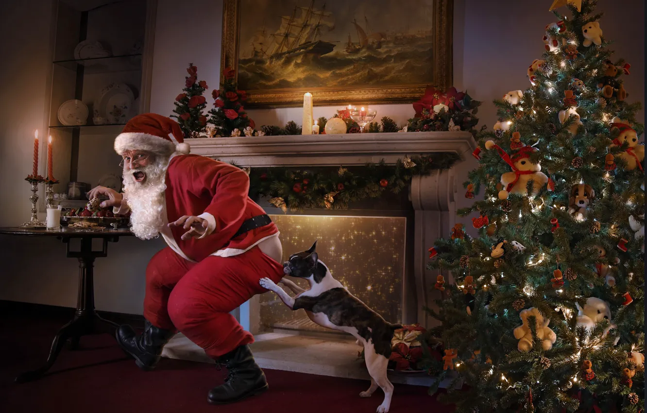 Photo wallpaper the situation, dog, humor, tree, fireplace, Santa Claus, Santa was caught!