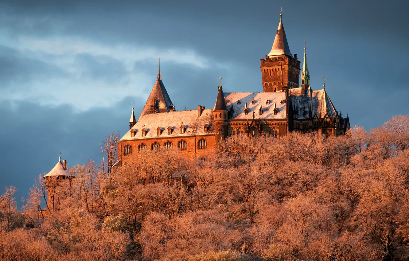 Photo wallpaper winter, frost, the sky, clouds, trees, nature, castle, roof