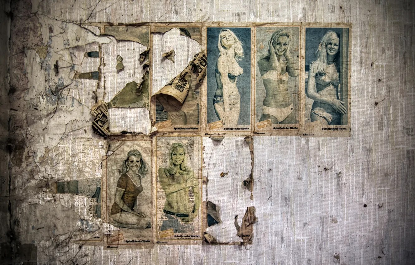 Photo wallpaper background, wall, picture