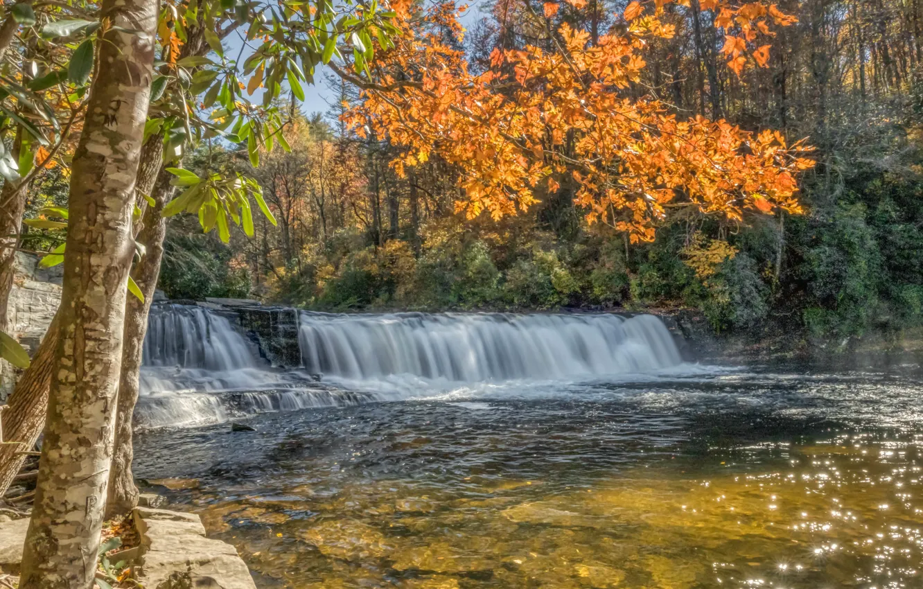 Photo wallpaper autumn, forest, trees, branches, river, waterfall, cascade, North Carolina