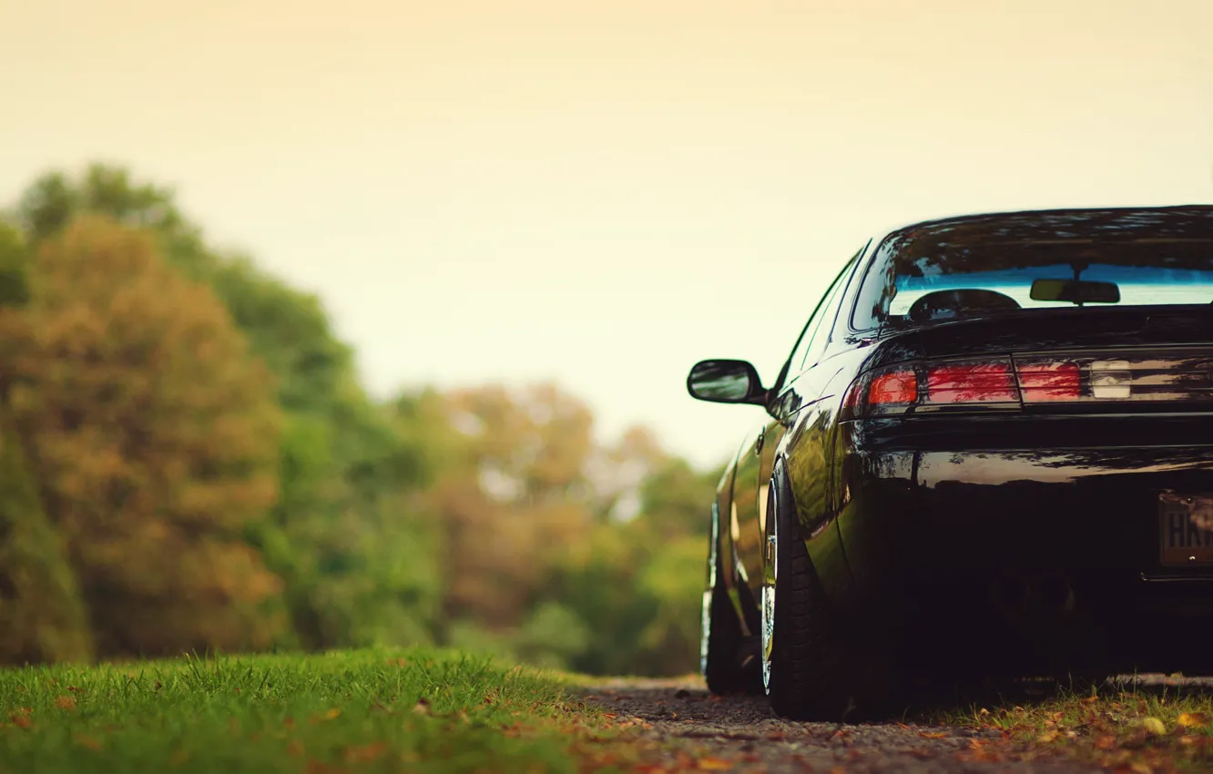 Photo wallpaper grass, trees, Nissan, silvia