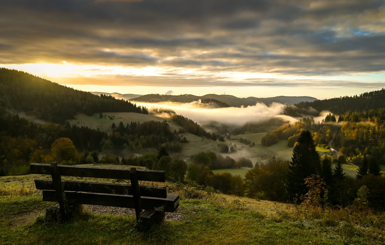 Photo wallpaper sunset, fog, bench