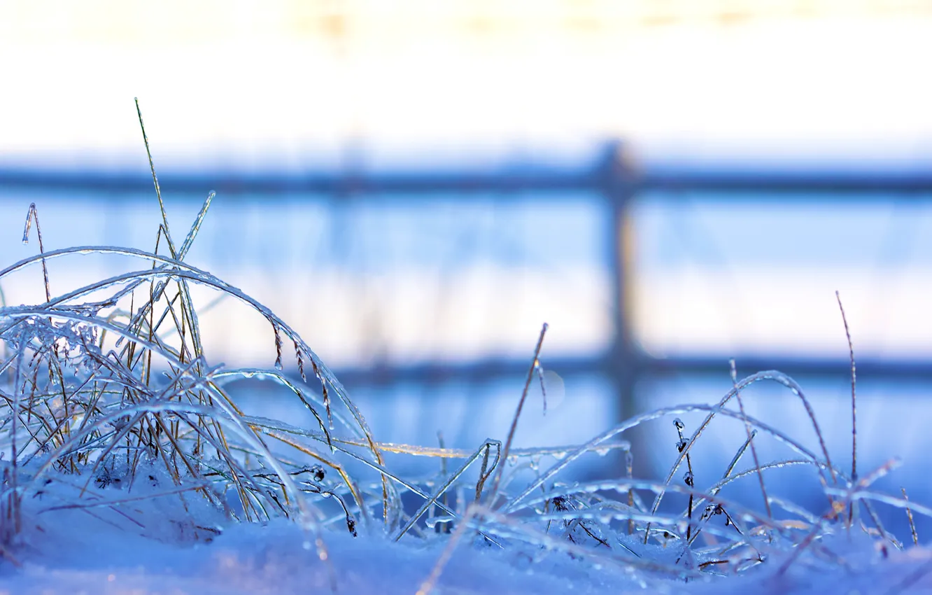 Photo wallpaper winter, grass, snow, nature, the fence, ice, the fence, grass