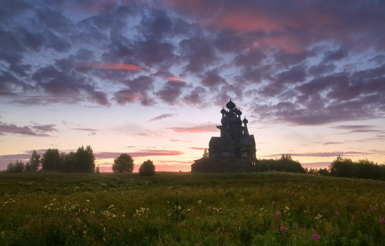Photo wallpaper field, summer, the sky, clouds, trees, the evening, meadow, space
