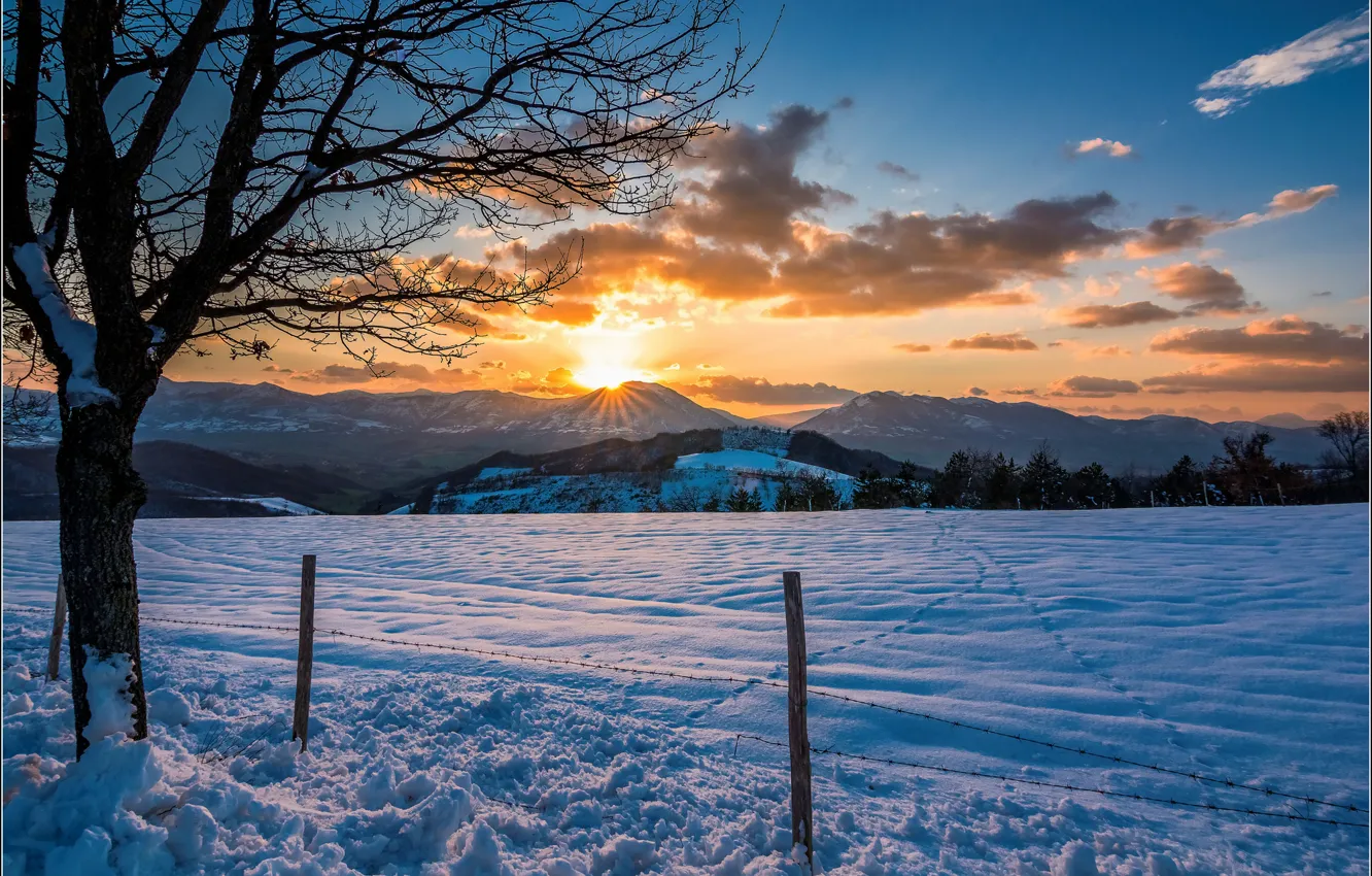 Photo wallpaper winter, field, snow, sunset, mountains, tree, posts