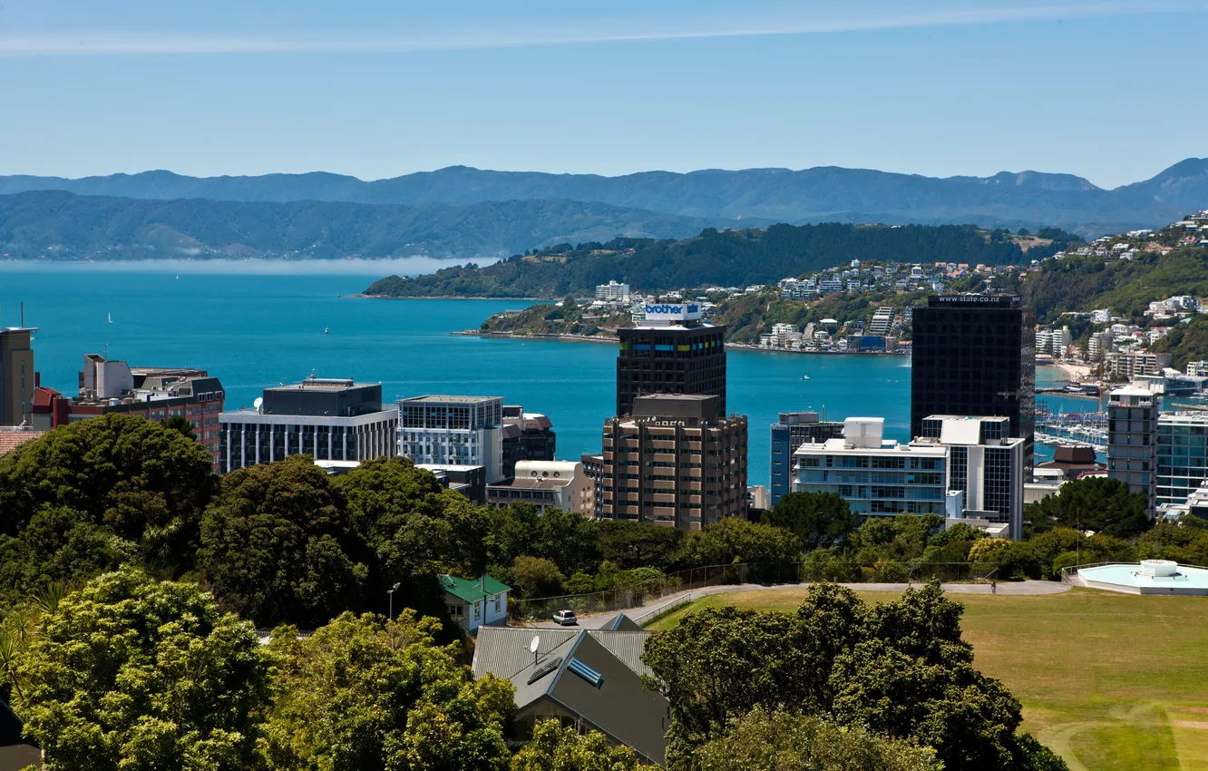 Photo wallpaper sea, forest, mountains, city, home, New Zealand, new, high-rise buildings.