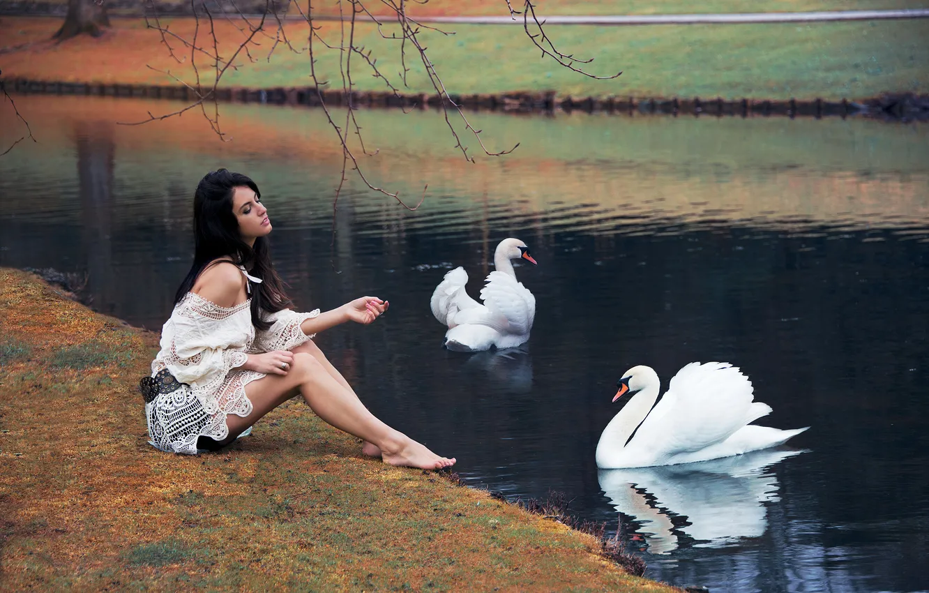 Photo wallpaper girl, pose, lake, sitting, swans