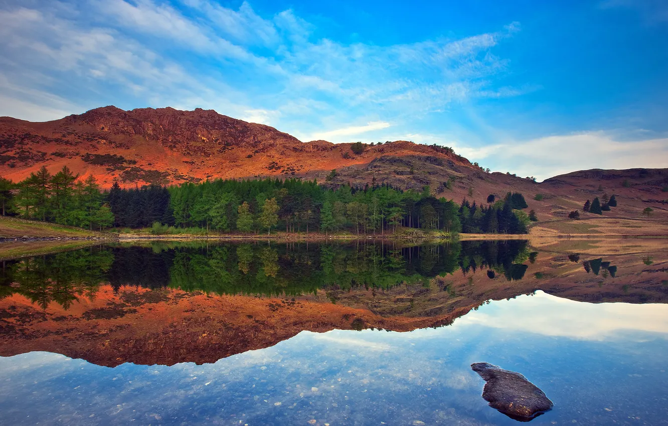 Photo wallpaper trees, mountains, nature, lake, reflection