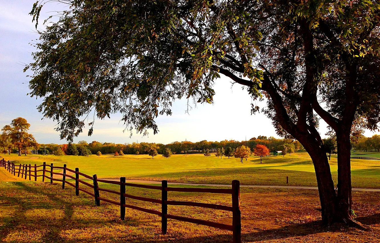 Photo wallpaper road, autumn, forest, leaves, trees, nature, Park, colors
