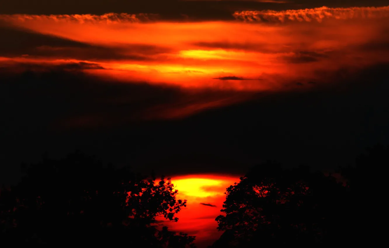 Photo wallpaper the sky, night, clouds, reflection, silhouette, glow